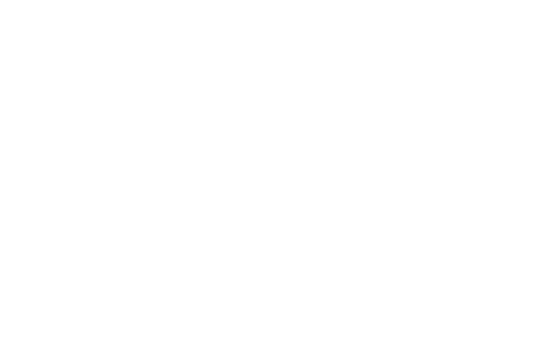 Big Apple Film Festival and Screenplay Competition - Feature Screenplay 2025